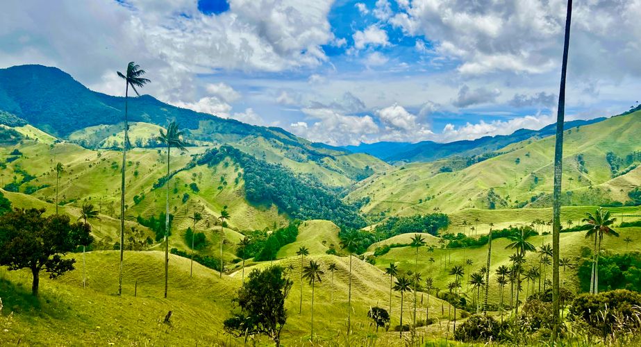 Samaria vallei Colombia Samaria vallei Colombia